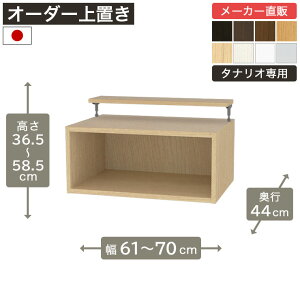 ��1cm�P�ʃI�[�_�[���b�N ��u�� ����35cm ��60cm����70cm ���s44cm F2�X�^�[���� �S�I�� �{�I �V�F���t �^�i���I ���[�Ƌ� ����Y��