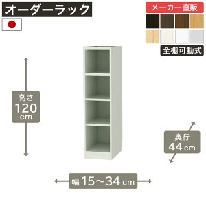 11/25IP5{&5OFFN[| 1cmPʃI[_[bN 120cm 15cm34cm s44cm F2X^[ SI {I VFt ^iI [Ƌ Y