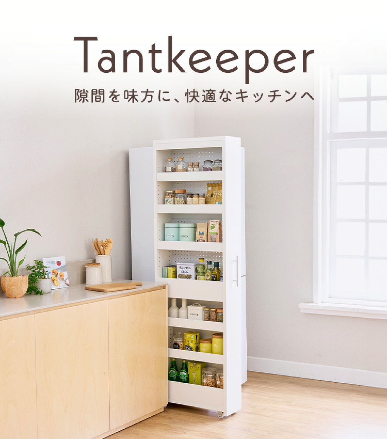 数量限定】表紙が見える 絵本棚 ラック 子供 収納 白井産業 木製  