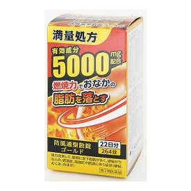 【第2類医薬品】阪本漢法の防風通聖散錠ゴールド 264錠 阪本漢法製薬 漢方製剤