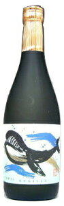 Ē ̃{g 25x 720ml | C