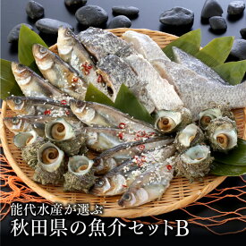 楽天市場 ハタハタ 販売 秋田の通販
