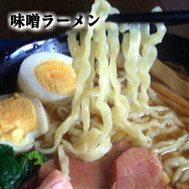 ラーメンセット ギフト らーめん ラーメン 手打ちラーメン 味噌ラーメン 10食 手打ち 生めん 2日かけて作る ラーメン 竹踏み白河ラーメン　地域限定で送料無料　ラーメン　有名店　取り寄せ　名店　ラーメンセット