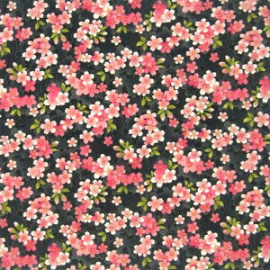 {@az(ȃ`[t)C~@a͂񂩂@nJ`{@J@F