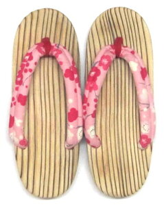 {@啪@`IYicʁ@qʏ̎qp@9`10ˁi21cm)Đ