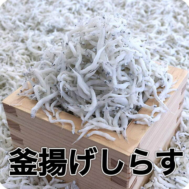 シラス_。さまご相談ページ