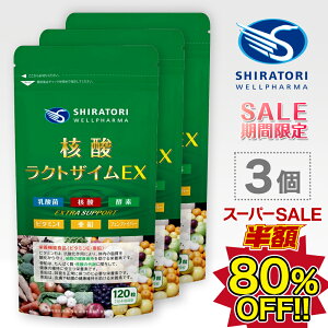 y80%OFF!!zyX[p[Z[JÒIzj_NgUCEX [120]×3܁90 ^ h{@\Hi r^~E  j_ DNA RNA _ yf(64쑐yGLX) tFt@Co[(H@) 