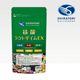 核酸ラクトザイムEX 1袋［120粒入（30日分目安）］ 栄養機能食品 ビタミンE 亜鉛 核酸 DNA RNA 乳酸菌 酵素(64種野草発酵エキス) フェンファイバー(食物繊維) 日本国内GMP認定工場製造