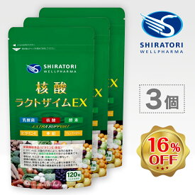 核酸ラクトザイムEX [120粒入]×3袋＠90日分 ／ 栄養機能食品 ビタミンE 亜鉛 核酸 DNA RNA 乳酸菌 酵素(64種野草発酵エキス) フェンファイバー(食物繊維) 日本国内GMP認定工場製造