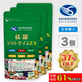 【定期購入】 核酸ラクトザイムEX [120粒入]×3袋＠90日分 ／ 栄養機能食品 ビタミンE 亜鉛 核酸 DNA RNA 乳酸菌 酵素(64種野草発酵エキス) フェンファイバー(食物繊維) 日本国内GMP認定工場製造