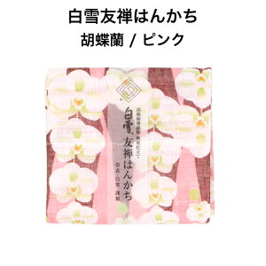 FT͂񂩂 / Ӓ / sNFT v`Mtg 킢 lC 炩 z o[Vu RpNg qǂ Ԃ { ᒠn 100