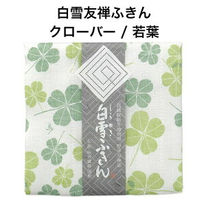 FTӂ / N[o[ / tv`Mtg A j Mtg ᒠn { FT Y܎gp 킢 ӂ lC 30x40Z`