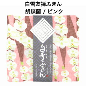 FTӂ / Ӓ / sN  v`Mtg A j Mtg ᒠn { FT Y܎gp 킢 ӂ lC  [ 30x40Z`