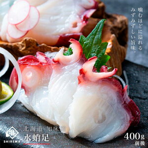 蕨 Mtg kC mY@ 400gO  ^R ^R  ~Y_R hg Ⓚ  ܂ O Mtg v[g 蕨 񂹃O VN  { t