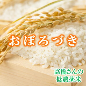  10kg 5kg ڂÂ  ʍ͔| ̂ڂÂ ߘa7NY kCY