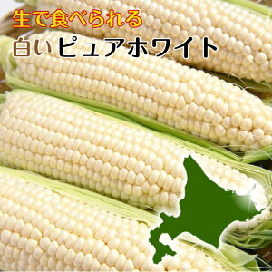 Ƃ낱 kC ŐHׂ  kCY sAzCg 10{ LTCY oד͐Y҂ɂC܂ ① Ƃ낱 ͂]͂󂯂ł܂