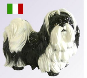 yzC^A@@V[Y[@uhbO@dog Aj}@G݁@u[bp@Italy@CeA@I[ig