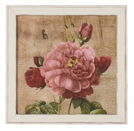 【送料無料】イタリア製　額絵　バラ　薔薇　フラワー