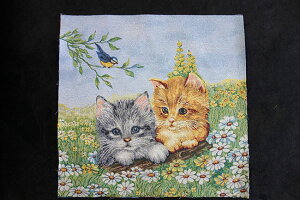 y3,980~(ō)ȏエグőzy[!!zēׂ܂XyC@SuD@An@plnwlRxpl@plt@ubN@t@ubN{[h@z@