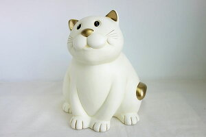 yzy[!!zVׂ܂|gK@eRb^@@LbgK[fjOIuWF@lR@zCg@STCY