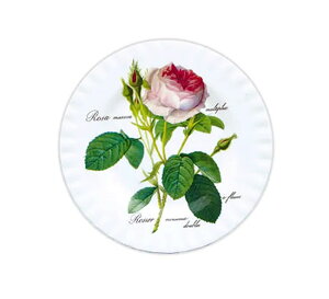 lCi!!y3,980~(ō)ȏエグőzy[!!zēׂ܂CMX Roy Kirkham (CEJ[J) Ё@hD[e[Y@v[g@20cm@M@M@mH@pH@