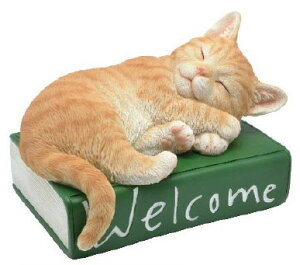 y3,980~(ō)ȏエグőzy[!!zׂ܂L[gȃEFJLbgg@L@Lbg@{@ց@lR̒u