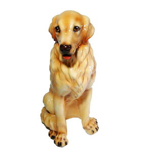 yzC^A@Aj}@Ckwuh[go[xuECeA@u@IuWF@Aj}u^@@ʁ@hbN@DOG@DogTCYFH60cm