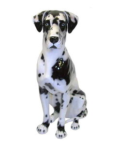 yzC^A@Aj}@Ckw|C^[xCeA@u@IuWF@Aj}u^@@ʁ@hbN@DOG@DogTCYFH93cm