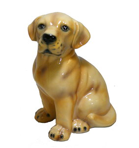 yzC^A@Aj}@Ckwuh[go[xCeA@u@IuWF@u@Aj}u^@ps[@@ʁ@hbN@DOG@DogTCYFH30cm