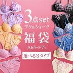 【42%OFF・お買い物マラソン】【送料無料】 ブラジャー ショーツ 3点セット 福袋 選べる3タイプ おまかせ 刺繍レース おしゃれ シンプル ABCDEF下着 レディース インナー ブラ ブラセット ブラショーツ 上下セット セットアップ 安い プチプラ 全3色 A65-F75 ev_sp