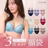【37%OFF・8/12 09:59まで】 中身が見える 福袋 ブラジャー ショーツ おまかせ3点セット 福袋 アンダー80…