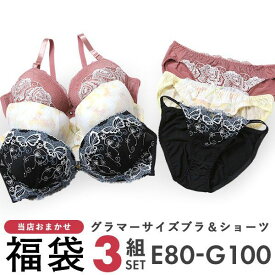 グラマーサイズ お買得 おまかせ ブラ&ショーツ 3組セット EFGカップ レディース [ 大きいサイズ アンダー100まで ] E80-G100 ev_sp