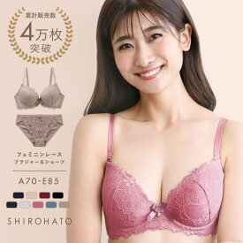 【10%OFF・6/11 01:59まで】フェミニンレース ブラジャー ショーツ セット ABCDE 総レース [ 下着 レディース ブラ＆ショーツ ブラ ブラセット ブラショーツ 上下セット 大きいサイズ アンダー80 アンダー85 ] 全8色 A70-E85LL ev_sp