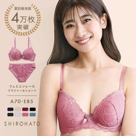 フェミニンレース ブラジャー ショーツ セット ABCDE 総レース [ 下着 レディース ブラ＆ショーツ ブラ ブラセット ブラショーツ 上下セット 大きいサイズ アンダー80 アンダー85 ] 全8色 A70-E85LL