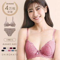 フェミニンレース ブラジャー ショーツ セット AAA・AA・A 小さいサイズ プチ胸サイズ 総レース [ かわい…