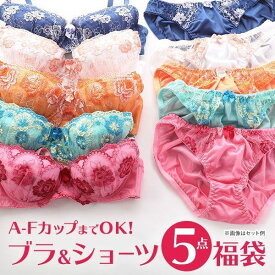 【10%OFF・お買い物マラソン】ブラジャー ショーツ 5点セット 福袋 おまかせ レース ABCDEFカップ グラマーサイズ [ 下着 レディース ブラ＆ショーツ ブラ ブラセット ブラショーツ 上下セット 大きいサイズ アンダー80 ] A70-M-F75-L ev_sp