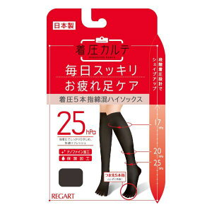 y[(30)z Je 5{wnC\bNX C ȍ  ێ  { fB[X 22-24cm-23-25cm