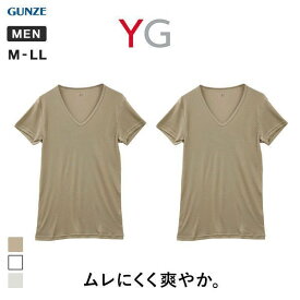 20％OFF【メール便(18)】 グンゼ GUNZE ワイジー YG DRY&DEO インナー Tシャツ Vネック 2枚組 YV0115A メンズ 全3色 M-LL