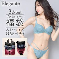 エレガント Elegante グラマーサイズ ブラジャー ショーツ 3組セット 福袋 おまかせ GHI 大きいサイズ レ…