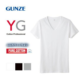 10％OFF【メール便(30)】【送料無料】 グンゼ GUNZE ワイジー YG コットン100％ Vネック Tシャツ メンズ 定番 ベーシック オールシーズン 全3色 M-3L