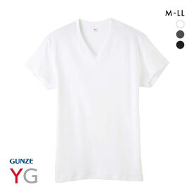 20％OFF【メール便(20)】 グンゼ GUNZE ワイジー YG ダブルホット Vネック 半袖 Tシャツ メンズ インナー あったか 保温 全3色 M-LL