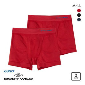 20％OFF【メール便(30)】【送料無料】 グンゼ GUNZE ボディワイルド BODY WILD ボクサーパンツ 3D-BOXER 立体成型 メッシュ BWS872J 二枚組 日本製 メンズ 全3色 M-LL