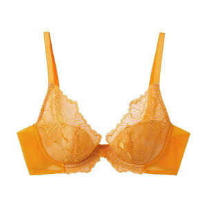 55��OFF �O���[ GUNZE �g�D�V�F Tuche more more sheer BRA ����Ȃ��h�̓������u�� �u���W���[ ���f�B�[�X �P�i �S3�F B70-E75