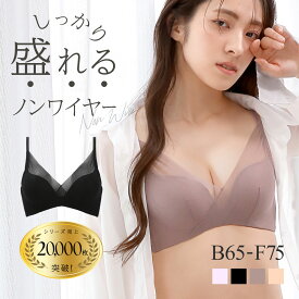 【送料無料】 ブラジャー ノンワイヤー 脇高 メッシュ MINIMALISTA 超極薄 B C D E F 単品 ミニマリスタ レディース ずれない ズレない フィット感 ホールド感 メッシュブラ 丸胸メイク 安定感 セクシー 通気性 全4色 B65-F75