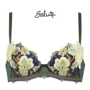 30��OFF ���R�[�� Wacoal �T���[�g Salute 23AW 93G BTJ493 P-UP �u���W���[ BC �v�b�V���A�b�v �P�i �J�� �t�F�A ���f�B�[�X ���� �S4�F B65-C85
