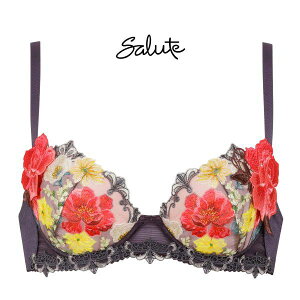 30��OFF ���R�[�� Wacoal �T���[�g Salute 23AW 93G BTJ493 P-UP �u���W���[ DEF �v�b�V���A�b�v �P�i �J�� �t�F�A ���f�B�[�X ���� �S4�F D65-F85