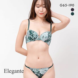 エレガント Elegante 脇肉を谷間に変える脇高ブラ ラグジュアリーレース ブラジャー ショーツ セット GHI65-95 ブラセット 脇寄せ レディース 全2色 G65-M-I90-3L