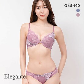 【最大100%ポイントバック・4/25限定】エレガント Elegante ボタニークフラワーアップリケ ブラセット GHI65-95 グラマー 脇肉 谷間 ブラジャー ショーツ セット レディース 全2色 G65-M-I90-3L