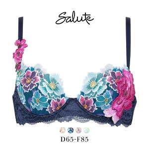30��OFF ���R�[�� Wacoal �T���[�g Salute 24SS 03G BTJ403 P-UP �u���W���[ DEF �v�b�V���A�b�v �P�i �J�� �t�F�A ���f�B�[�X ���� �S4�F D65-F85