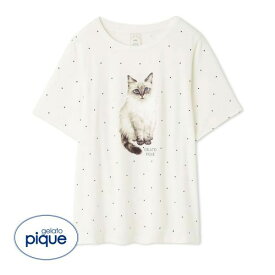 ジェラートピケ gelato pique レディース CATドット柄ワンポイントTシャツ ジェラピケ パジャマ ルームウェア 全2色